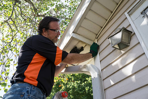 Best Hoarding Cleanup  in Sibley, LA